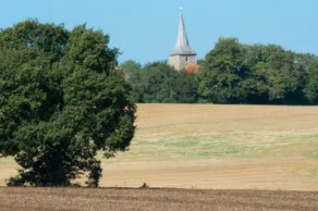 Putts Cottage hidden away at the end of a cart track, happily lost - Image 4
