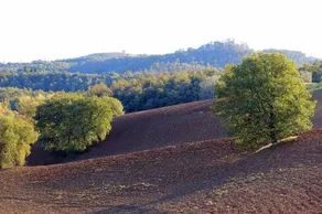 Agriturismo Santa Maria - Image 2