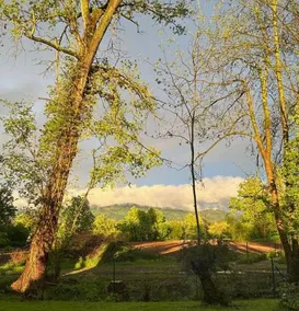 Sibylls Landpartie - Image 3