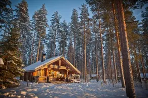 Laukkala Cottages Reindeers & Husky - Image 4