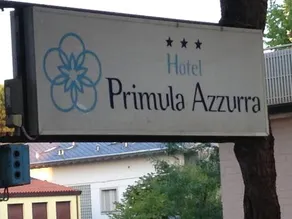 Primula Azzurra - Image 2