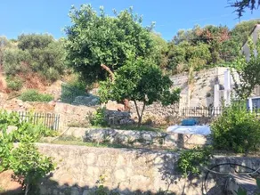 Anelina Villa - Image 2