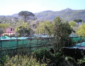 Itaca B&B - Image 2