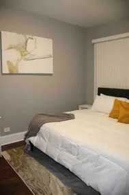 Upscale apartment Westside of Chicago - Image 3