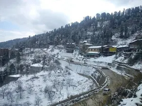 Homely Feel like stay in Kufri Shimla - Image 5