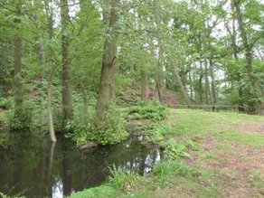 Firbank Cottage Danby - Image 2