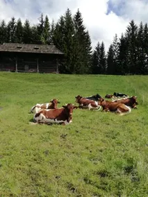 Haus Oswald Am See - Image 5