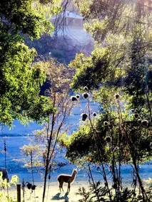 Pennyroyal Otways Retreat - Image 2
