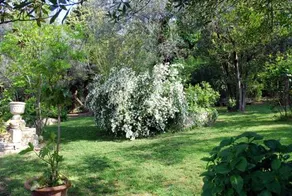 Country Hotel Le Rocce - Image 2