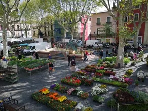Appartement Centre Ville - Image 2