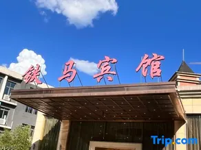 Tiema Hotel（Chongqing Yangjiaping Zoo Branch） - Image 5