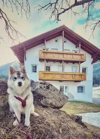 Appartementhaus Egghof - Image 2