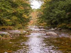 Tentrr Whispering Pines At The River - Image 3