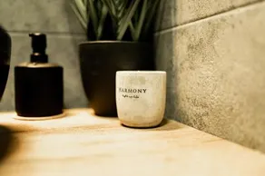 Black Velvet Apartman - Image 5