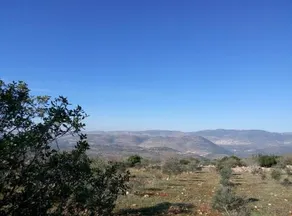 Cabin In The View - Image 3