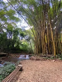 Espaço Viverde Pousada e Retiros - Image 3