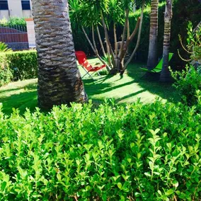 Hiero House - Image 3