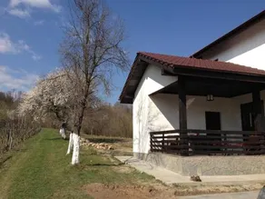 Pensiunea Zina - Image 4