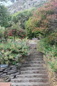 Gardenia House - Image 4