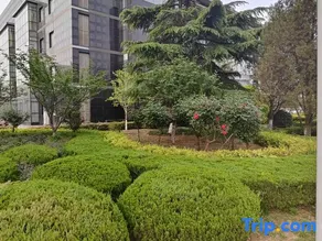Anyan VIP Building Hotel - Image 2
