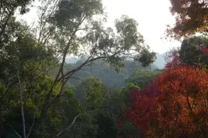 Yarra Ranges Country Apartment - Image 4