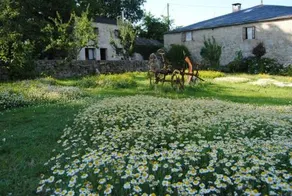 Casa Caxigueiro - Image 4