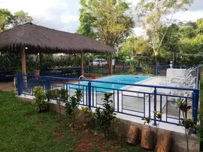 Aregua Oga - Image 3