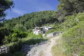 Robinson Mirela - Image 4