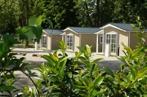 Chalet Am Pilsensee - Image 2