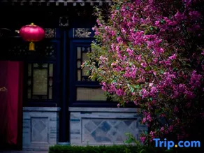 Wenying Hotel - Image 5
