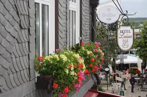Leisse - Image 3