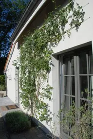 The Little House - Image 3