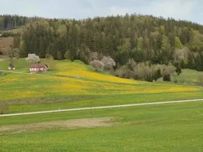 Ferienhaus Anna - Image 4