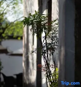 Xidi No.3 Town Artist Homestay - Image 2