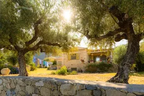 Amoni Holiday Homes - Image 5