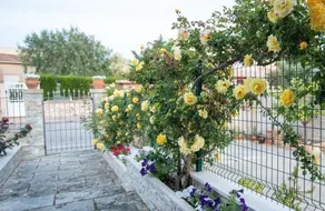 Casa Svit - Image 5