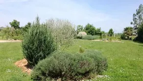 Le petit paradis Daumeray - Image 4