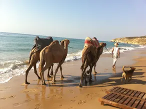 Asilah Marina Golf - Image 4