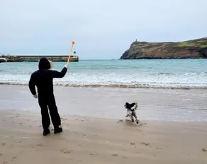 Seaview on the beach - Image 2