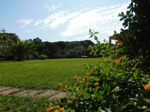 Hotel Matta Village - Image 5