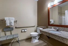 Comfort Inn Moline - Quad Cities - Image 3