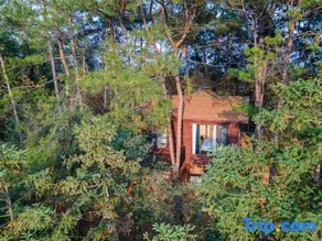 Hope ViewVilla SilvaCloudForestScent ArtVillaSanbaoInternational Porcelain Valley Scenic Area Branch - Image 4