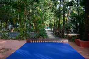 Woke Hostel Arpora - Image 3