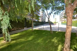 WVP - New Pineda - Image 3