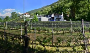 Agriturismo Viva Bacco - Image 4