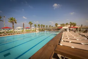 Rimonim Palm Beach Acre - Image 5