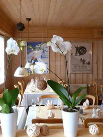 Gasthof Derby - Image 2