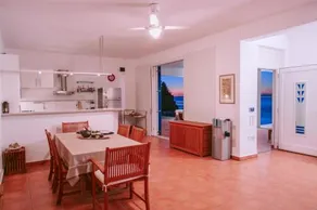 Delfini - Image 4