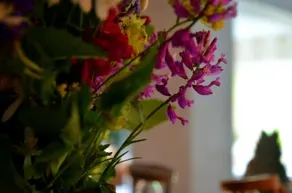 Casa Lorena - Image 3