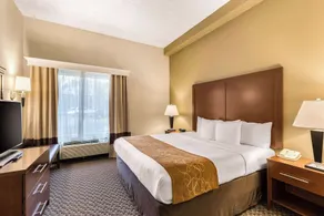 Comfort Suites Columbia Gateway - Image 5